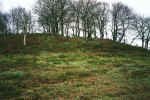 Melrand tumulus 5 .jpg (866004 octets)