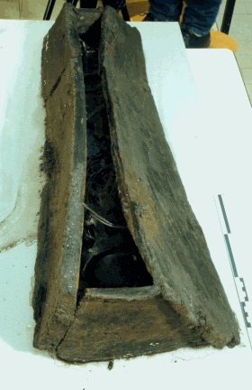 Fig.8�: Le cercueil de la tombe T.69�: les liens v�g�taux d�assemblage des planches sont parfaitement conserv�s