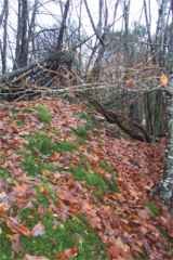 Sommet de la motte de Coh Castel � Brandivy