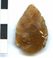 Armature foliac�e (�chelle cm)