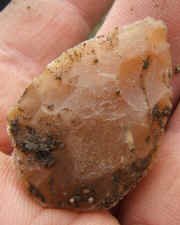 Armature foliac�e, sur le site, au moment de sa d�couverte