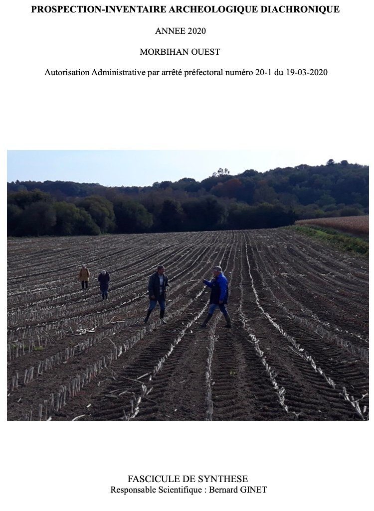 Rapport de synthese 2020