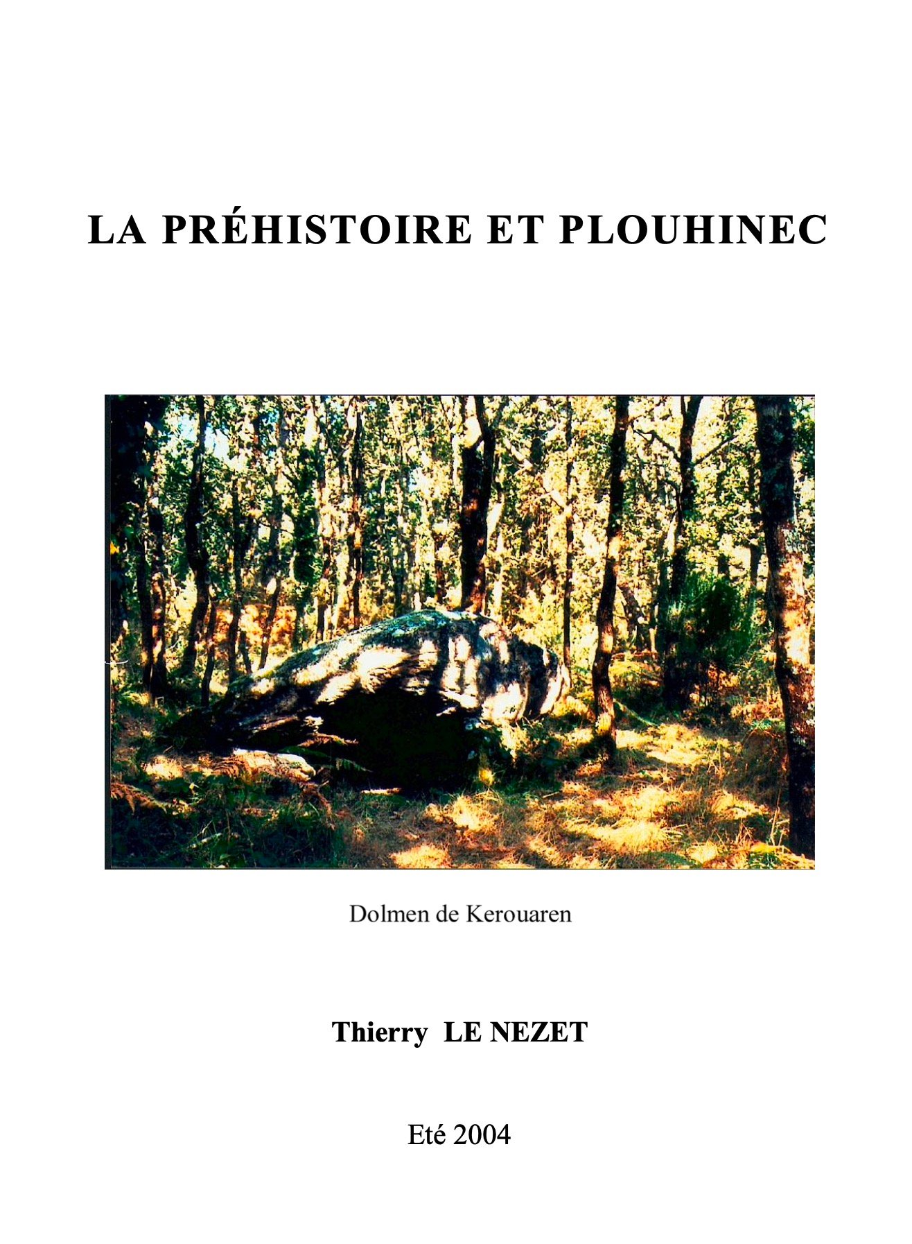 Le Nezet Plouhinec