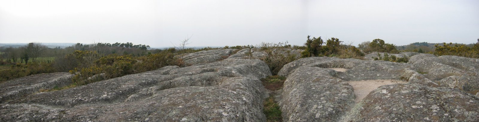 Panorama